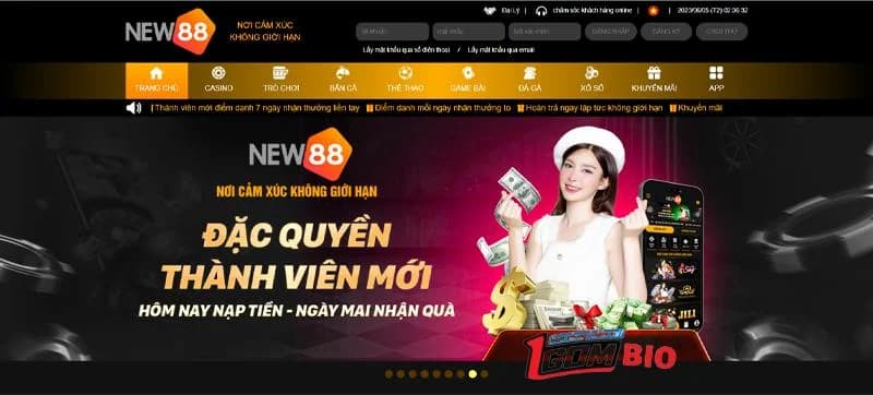 New88 - địa chỉ cược chất lượng