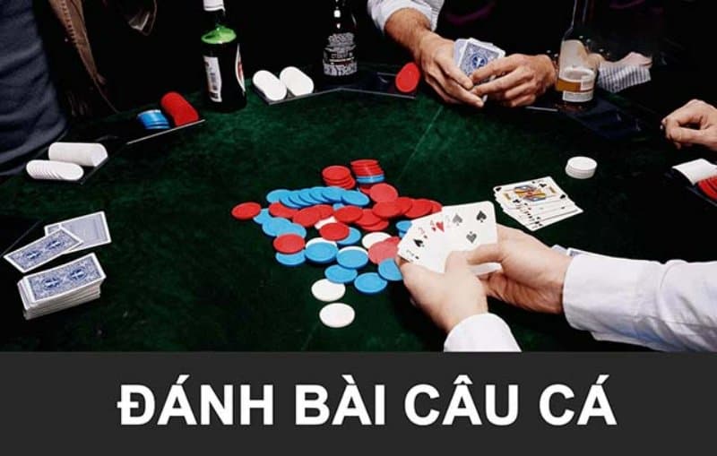 Hướng dẫn đánh bài câu cá