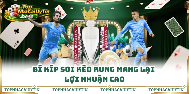 Bí kíp soi kèo rung mang lại lợi nhuận cao