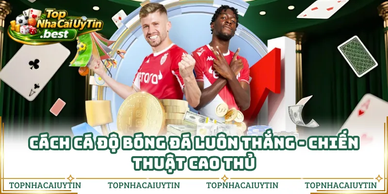 Cách Cá Độ Bóng Đá Luôn Thắng - Chiến Thuật Cao Thủ