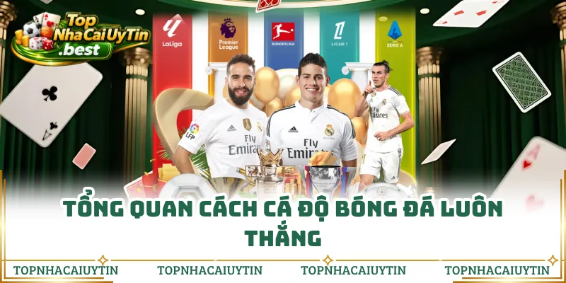 Tổng quan cách cá độ bóng đá luôn thắng